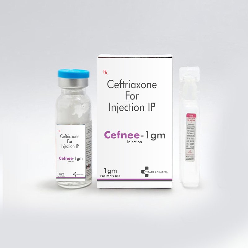 Cefnee